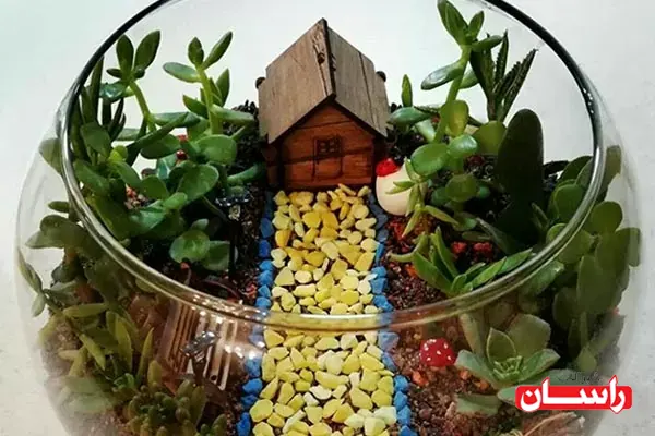 معرفی ۱۰ گیاه آپارتمانی مقاوم که در تراریوم خوب رشد می‌کنند!