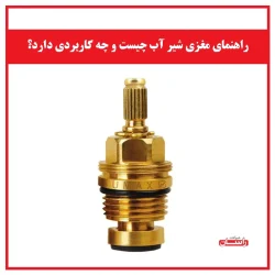 مغزی شیر آب چیست و چه کاربردی دارد؟