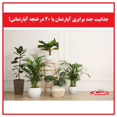 جذابیت چند برابری آپارتمان با 20 درختچه آپارتمانی!